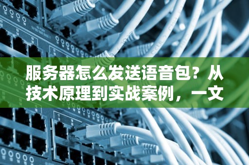 服务器怎么发送语音包？从技术原理到实战案例，一文搞懂！