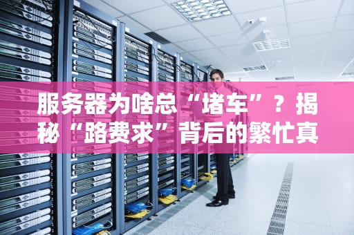 服务器为啥总“堵车”？揭秘“路费求”背后的繁忙真相！