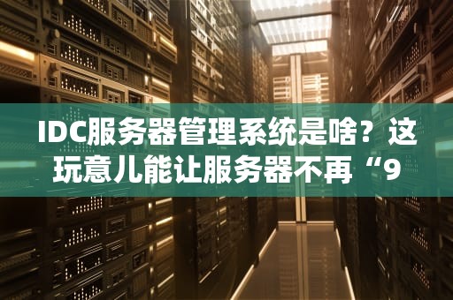 IDC服务器管理系统是啥？这玩意儿能让服务器不再“996”吗？