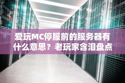 爱玩MC停服前的服务器有什么意思？老玩家含泪盘点5大经典玩法！