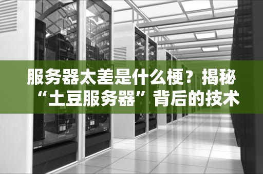 服务器太差是什么梗？揭秘“土豆服务器”背后的技术翻车现场！