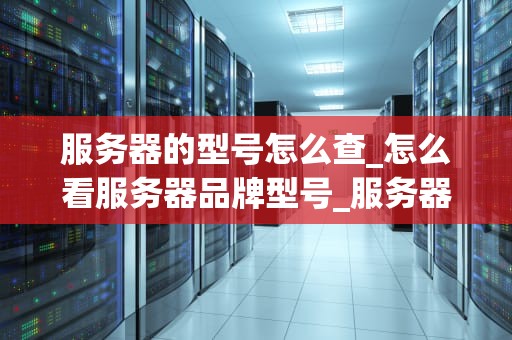 服务器的型号怎么查_怎么看服务器品牌型号_服务器型号的查找与识别