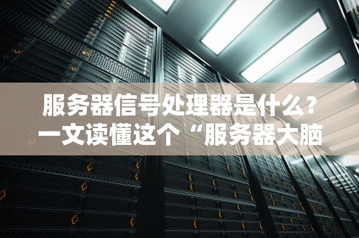 服务器信号处理器是什么？一文读懂这个“服务器大脑”的硬核日常！