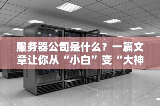 服务器公司是什么？一篇文章让你从“小白”变“大神”！