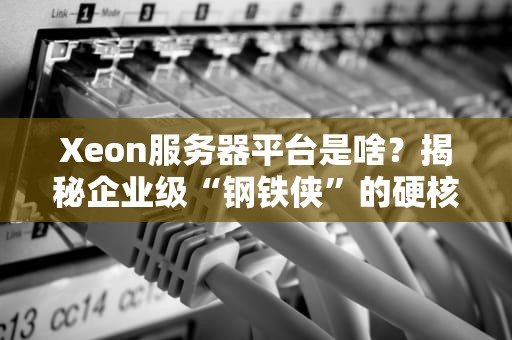 Xeon服务器平台是啥？揭秘企业级“钢铁侠”的硬核实力！