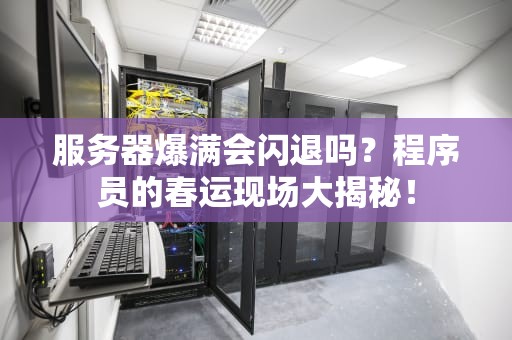 服务器爆满会闪退吗？程序员的春运现场大揭秘！