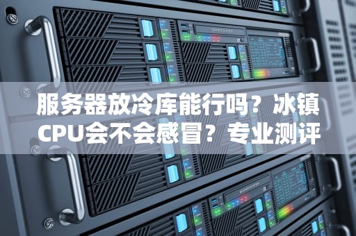 服务器放冷库能行吗？冰镇CPU会不会感冒？专业测评告诉你真相！