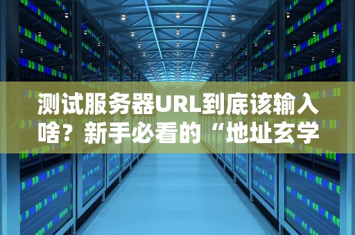 测试服务器URL到底该输入啥？新手必看的“地址玄学”指南！