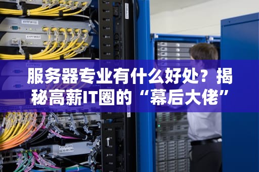 服务器专业有什么好处？揭秘高薪IT圈的“幕后大佬”生存法则