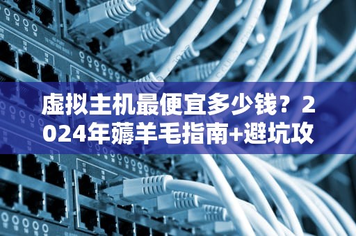 虚拟主机最便宜多少钱？2024年薅羊毛指南+避坑攻略！