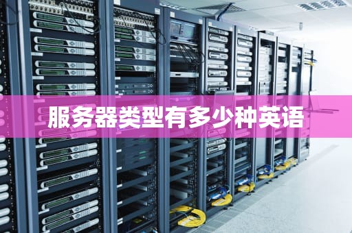 服务器类型有多少种英语