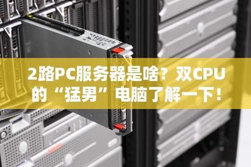 2路PC服务器是啥？双CPU的“猛男”电脑了解一下！