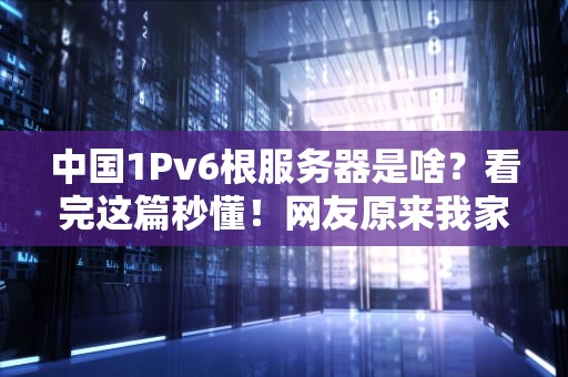 中国1Pv6根服务器是啥？看完这篇秒懂！网友原来我家网速慢的锅在这！