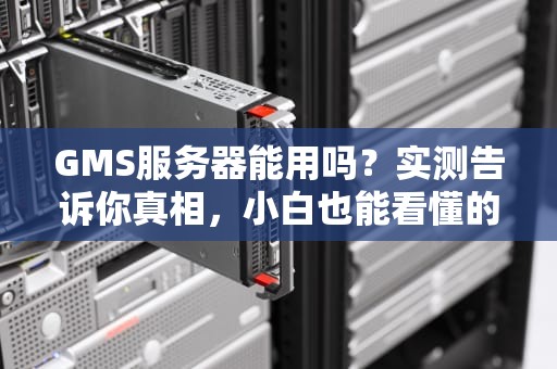 GMS服务器能用吗？实测告诉你真相，小白也能看懂的专业测评！