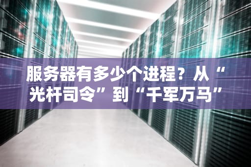 服务器有多少个进程？从“光杆司令”到“千军万马”的奇妙世界