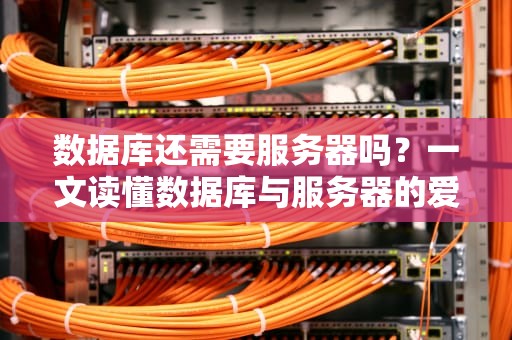 数据库还需要服务器吗？一文读懂数据库与服务器的爱恨情仇