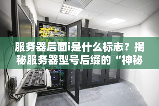 服务器后面i是什么标志？揭秘服务器型号后缀的“神秘代码”