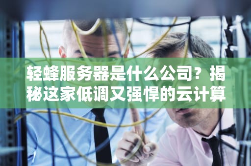 轻蜂服务器是什么公司？揭秘这家低调又强悍的云计算“黑马”