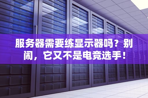 服务器需要练显示器吗？别闹，它又不是电竞选手！