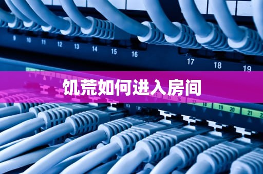 饥荒如何进入房间