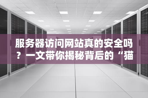 服务器访问网站真的安全吗？一文带你揭秘背后的“猫腻”