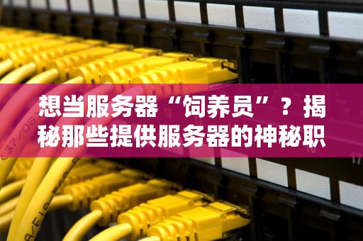 想当服务器“饲养员”？揭秘那些提供服务器的神秘职业！