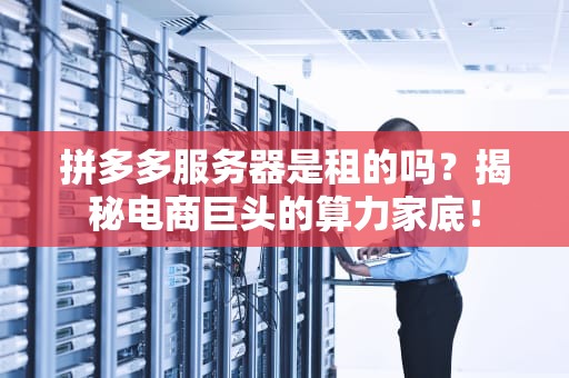 拼多多服务器是租的吗？揭秘电商巨头的算力家底！
