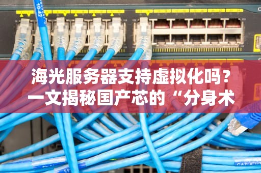 海光服务器支持虚拟化吗？一文揭秘国产芯的“分身术”实力！