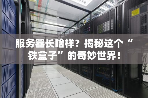 服务器长啥样？揭秘这个“铁盒子”的奇妙世界！