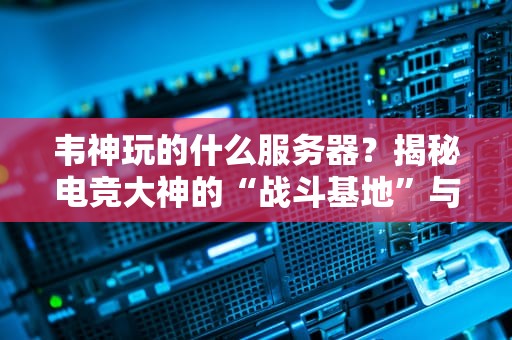 韦神玩的什么服务器？揭秘电竞大神的“战斗基地”与平民选购指南