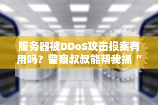 服务器被DDoS攻击报案有用吗？警察叔叔能帮我抓“黑客小学生”吗？