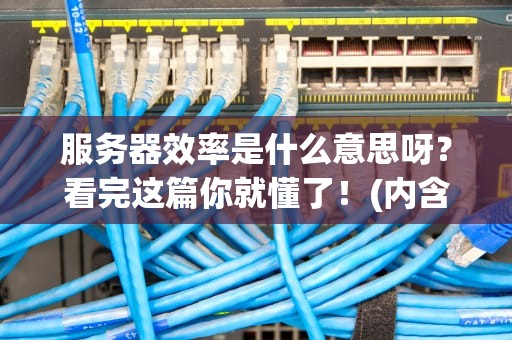 服务器效率是什么意思呀？看完这篇你就懂了！(内含专业测评+幽默吐槽)