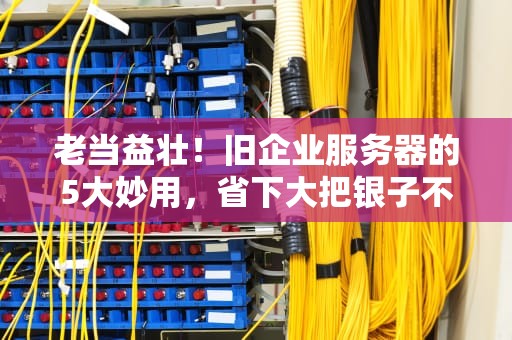 老当益壮！旧企业服务器的5大妙用，省下大把银子不香吗？