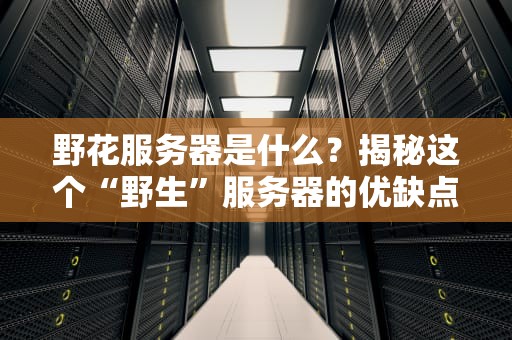 野花服务器是什么？揭秘这个“野生”服务器的优缺点与适用场景