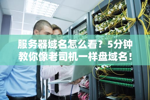 服务器域名怎么看？5分钟教你像老司机一样盘域名！