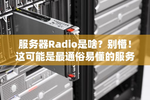 服务器Radio是啥？别懵！这可能是最通俗易懂的服务器科普了！