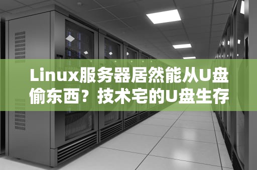 Linux服务器居然能从U盘偷东西？技术宅的U盘生存指南