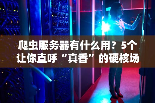 爬虫服务器有什么用？5个让你直呼“真香”的硬核场景解析！