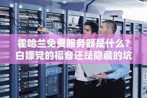 霍哈兰免费服务器是什么？白嫖党的福音还是隐藏的坑？