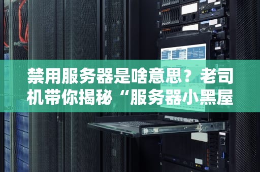 禁用服务器是啥意思？老司机带你揭秘“服务器小黑屋”的真相！