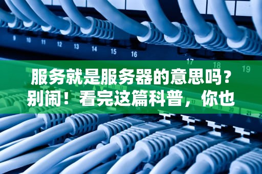 服务就是服务器的意思吗？别闹！看完这篇科普，你也能当“IT段子手”
