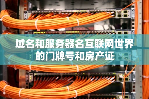 域名和服务器名互联网世界的门牌号和房产证