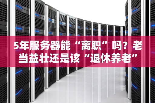 5年服务器能“离职”吗？老当益壮还是该“退休养老”？