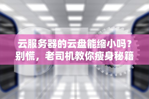 云服务器的云盘能缩小吗？别慌，老司机教你瘦身秘籍！