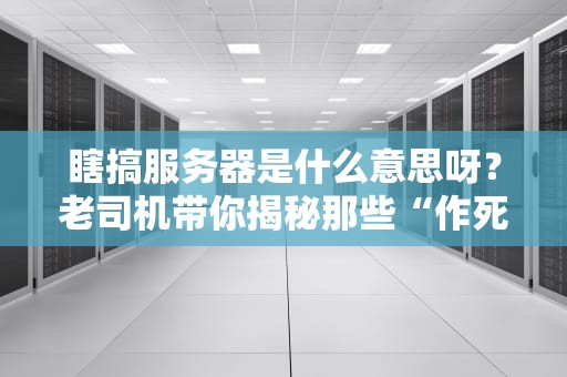 瞎搞服务器是什么意思呀？老司机带你揭秘那些“作死”操作！