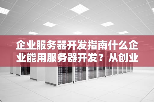 企业服务器开发指南什么企业能用服务器开发？从创业公司到巨头都在用的技术揭秘！
