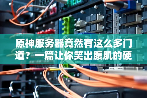原神服务器竟然有这么多门道？一篇让你笑出腹肌的硬核科普！