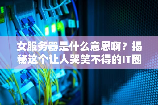 女服务器是什么意思啊？揭秘这个让人哭笑不得的IT圈“黑话”