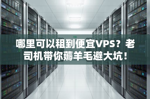 哪里可以租到便宜VPS？老司机带你薅羊毛避大坑！