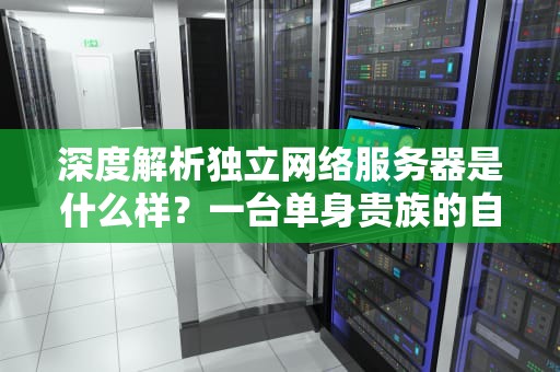 深度解析独立网络服务器是什么样？一台单身贵族的自我修养